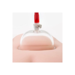 Pompe à pénis Blush Temptasia Noir