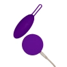 Vibromasseur à boules Blush Wellness Violet