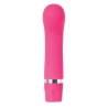 Vibromasseur Evolved Rose