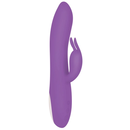 Vibrateur G-Spot Evolved Rabbit Violet