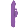 Vibrateur G-Spot Evolved Rabbit Violet