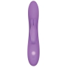 Vibrateur G-Spot Evolved Rabbit Violet