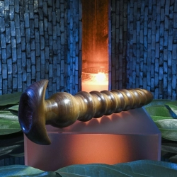 Plug Anal Evolved Marron