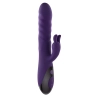 Vibrateur G-Spot Evolved Rabbit Violet