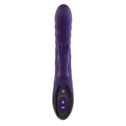 Vibrateur G-Spot Evolved Rabbit Violet
