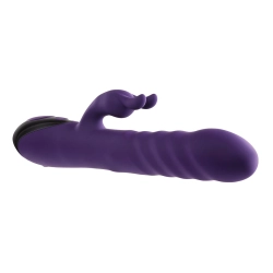 Vibrateur G-Spot Evolved Rabbit Violet