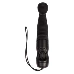 Vibromasseur anal Zero Tolerance Zero Tolerance Noir