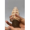 Masturbateur Mini Shot Anal Experience
